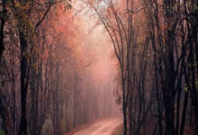 比爾暗示弩機和納吉的關系可能會升級成為私下決鬥了 球場上不歡迎職業摔跤手.