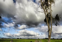 球速体育官方：深足未收歸化卡爾德克通知 已通過考察等足協審核.