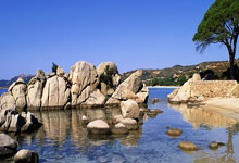 特巴斯贊揚貝林厄姆：歐洲最佳踢球者在西甲，像是從外太空降臨.